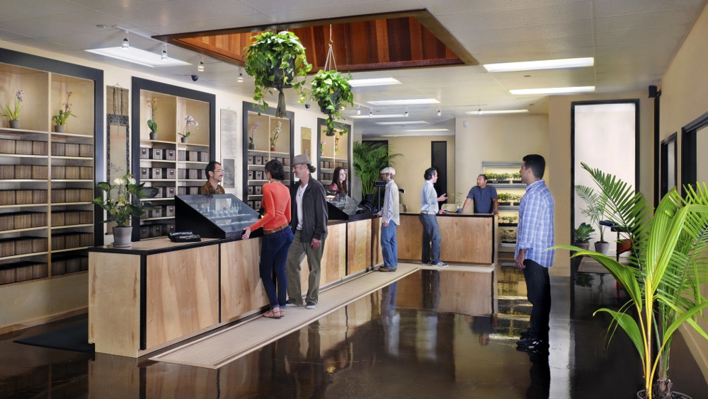 San Jose Medical Cannabis Collective Elemental Wellness Wins Three High Times Medical Cannabis